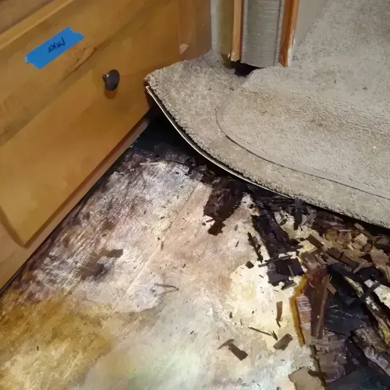 Wood Floor Water Damage in Springfield, MA